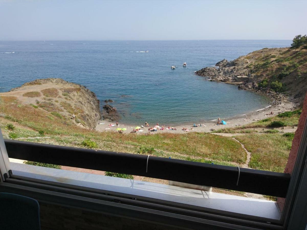 Apartment Portvendres Sea View *